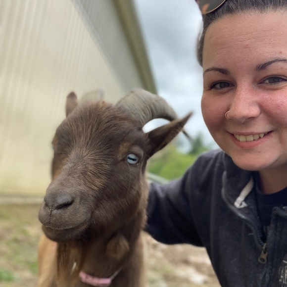 Meet your Posher, Sabrina - Picture 2 of 4